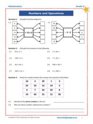 cover image of Grade 5 Maths Test: Mixed Skills Practice 4